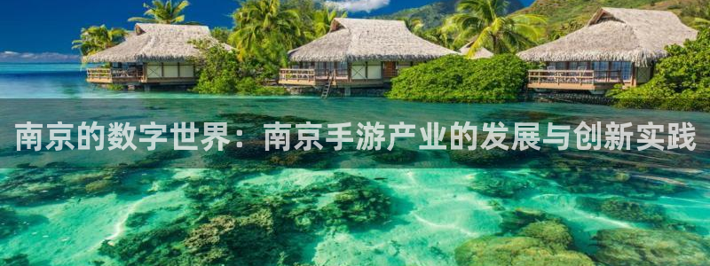 庄闲游戏怎么样：南京的数字世界：南京手游产业的发展与创新实践
