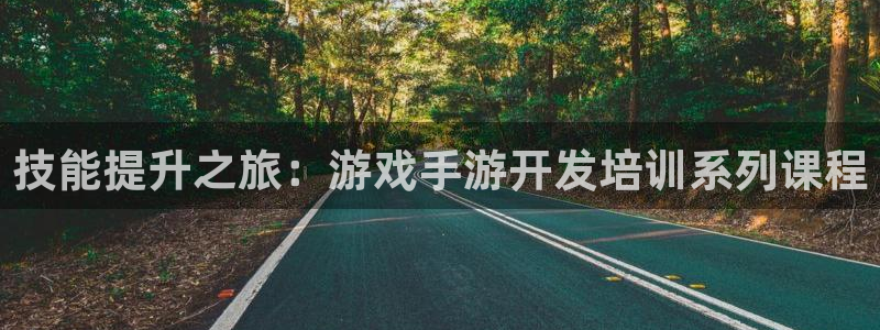 庄闲游戏平台：技能提升之旅：游戏手游开发培训系列课程