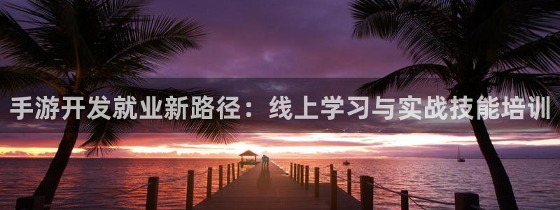 庄闲游戏叫啥：手游开发就业新路径：线上学习与实战技能培训