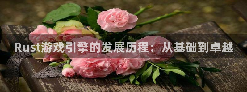 庄闲游戏app官方：Rust游戏引擎的发展历程：从基础到卓越