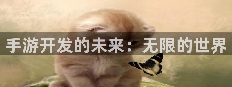庄闲的游戏创始人是谁：手游开发的未来：无限的世界