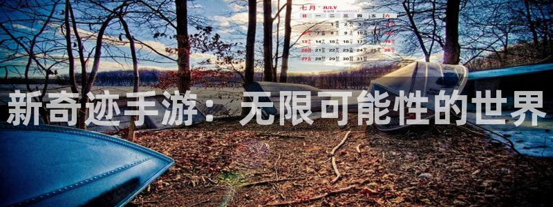 庄闲闲庄庄闲：新奇迹手游：无限可能性的世界