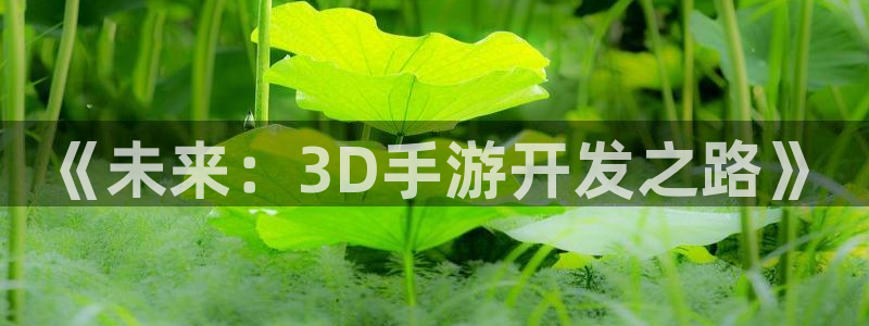 庄闲玩法图片：《未来：3D手游开发之路》