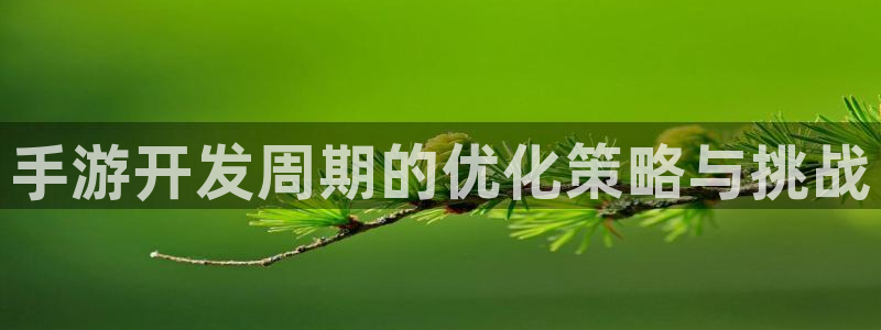 庄闲游戏平台怎么样：手游开发周期的优化策略与挑战