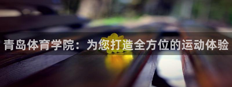 bsports必一运动：青岛体育学院：为您打造全方位的运动体验