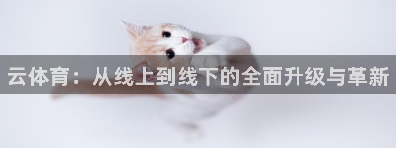 必一运动bsport体育：云体育：从线上到线下的全面升级与革新