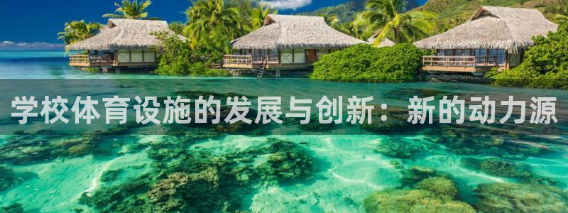 bsports官网 必一运动：学校体育设施的发展与创新：新的动力源