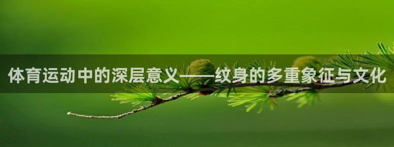 必一运动：体育运动中的深层意义——纹身的多重象征与文化