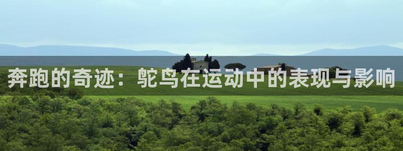 必一运动bsport体育：奔跑的奇迹：鸵鸟在运动中的表现与影响