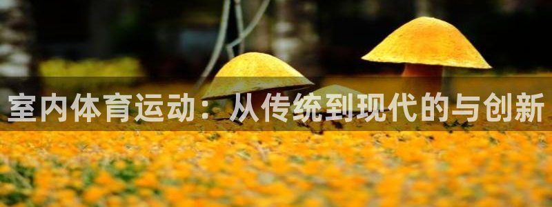 必一运动：室内体育运动：从传统到现代的与创新