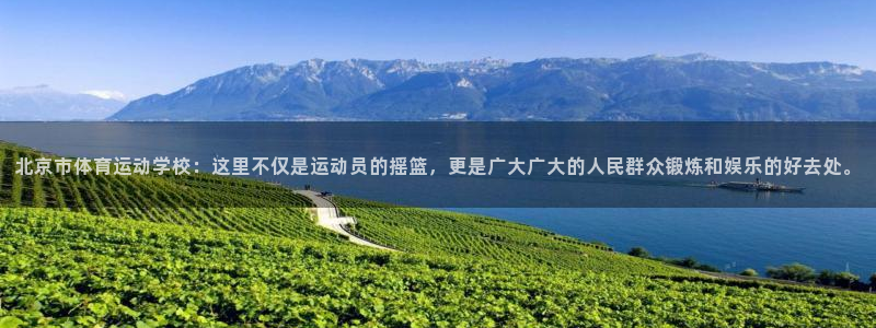 必一运动体育官网
