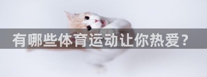 必一运动app：有哪些体育运动让你热爱？